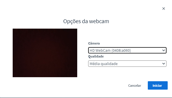 Escolha as opções para webcam